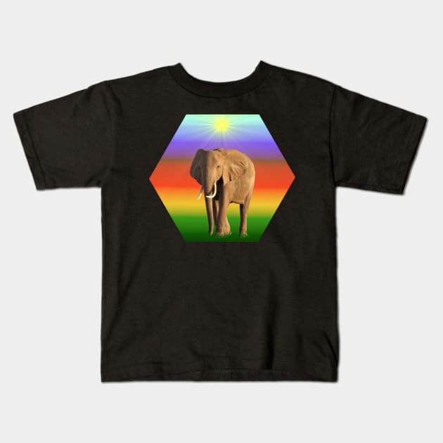 Elephant - Hexagram - Kenya / Africa Kids T-Shirt by T-SHIRTS UND MEHR